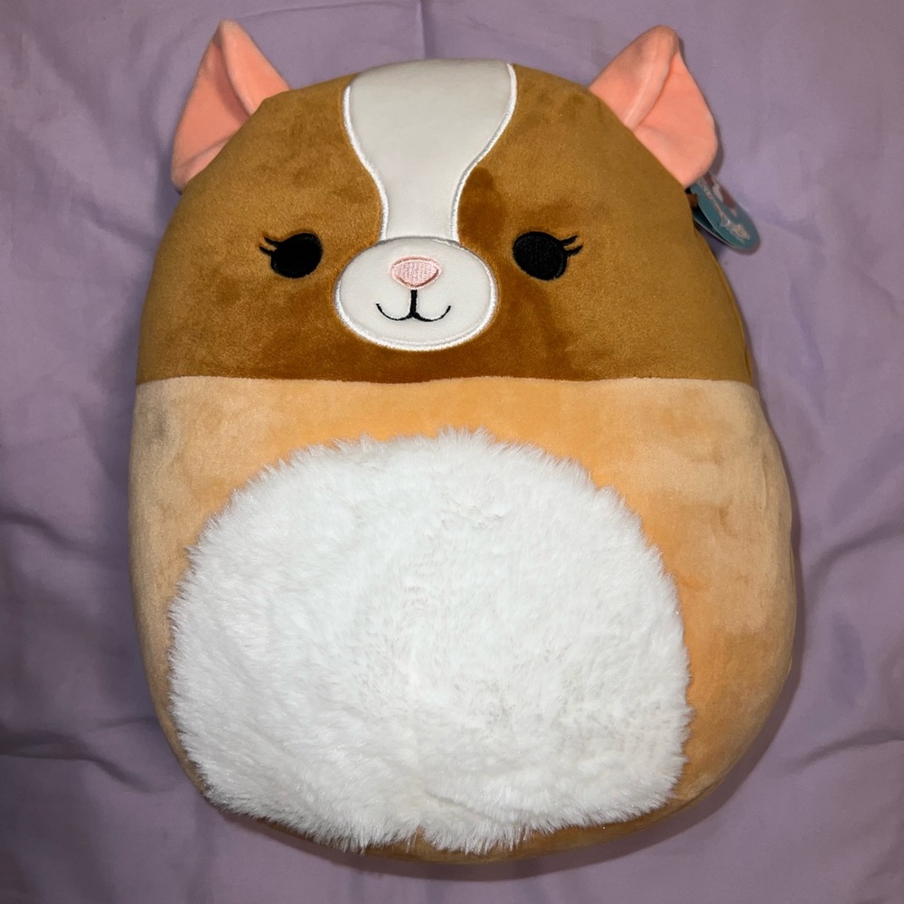 Garrett Guinea Pig Squishmallow// 11 inch